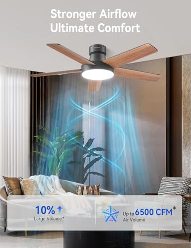 AKOFUN 44 Inch Black Ceiling Fan with Lights, Remote, Dimmable LED, Quiet DC Motor