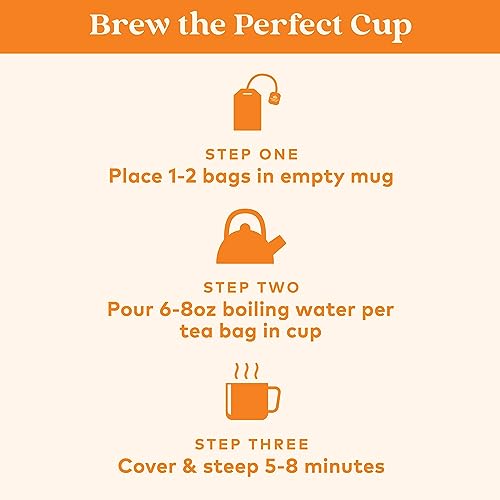 Organic India Tulsi Turmeric Ginger Herbal Tea 6 Pack (18 Bags Each) - Caffeine-Free Stress Relief