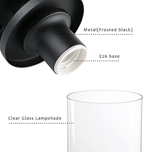 Pathson Industrial Ceiling Light Fixture with Glass Shade, 1-Light Flush Mounted Pendant Lighting Chandelier for Hallway Loft Kitchen Bar Close to Ceiling