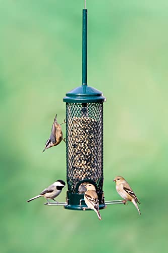 Mini Squirrel-Proof Bird Feeder - 1 Pack, Seed Saver, Compact Design
