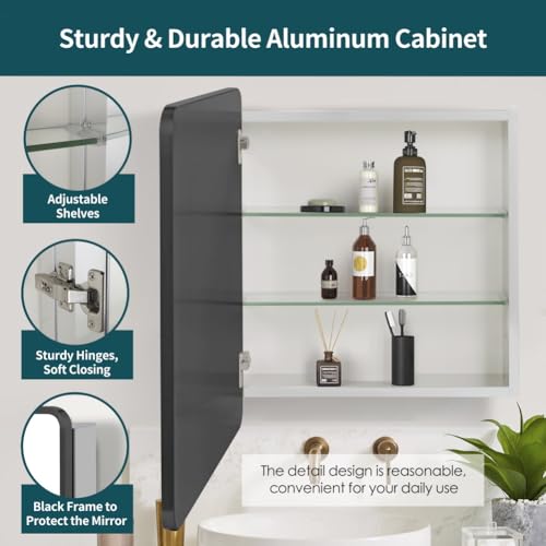 Black Bathroom Medicine Cabinet with Mirror, Adjustable Glass Shelves, Waterproof & Rust-Resist, Recessed or Surface Mount, 24x22 Inches