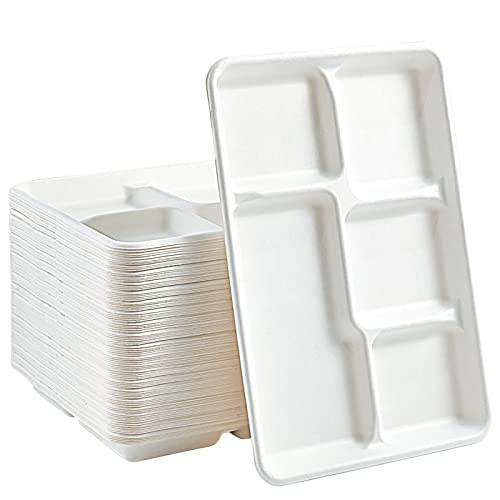 Compostable 5-Compartment Paper Plates 100 Pack Eco-Friendly Disposable Dinnerware