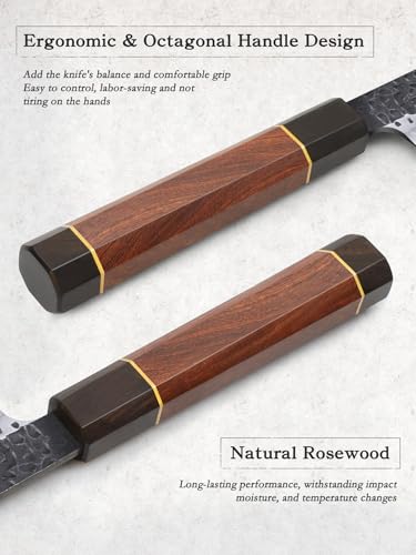 10 Inch Sushi Knife - Ultra Sharp Yanagiba Sashimi Knife with Rosewood Handle