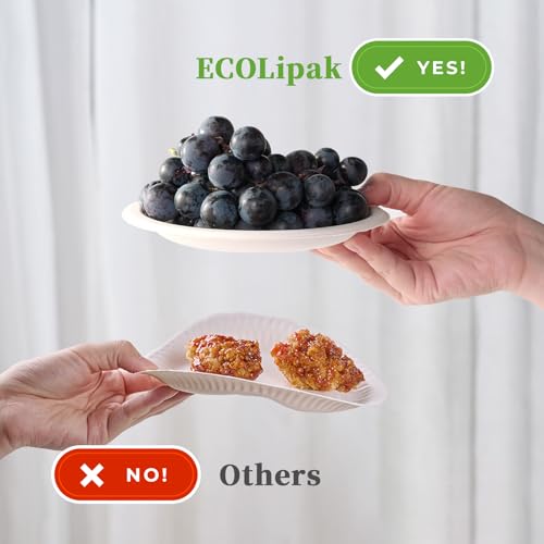 6 Inch Disposable Compostable Paper Dessert Plates - 500 Pack - White - Variation of THIS listing
