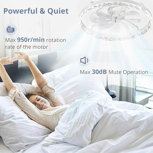 LEDIARY 24-Inch White Ceiling Fan with Lights and Remote - Fandelier, Adjustable Brightness & Colors