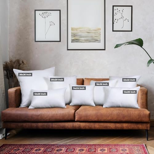 20x20 Inch Throw Pillow Inserts Set of 4 - Fluffy Down Alternative Cushions for Sofa, Bed & Outdoors