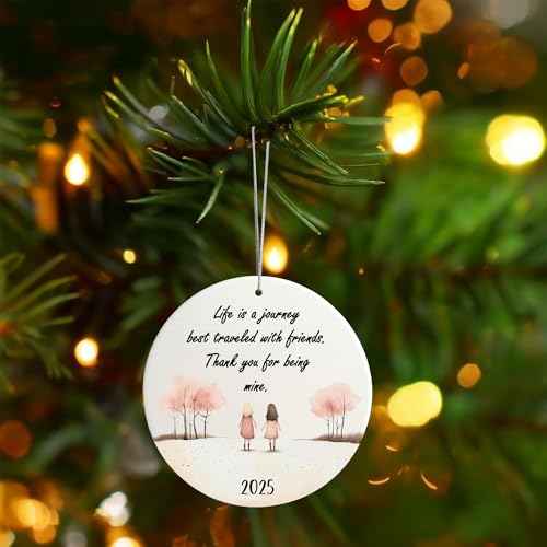 Friendship Ornament, for Women, Christmas Ornaments, Friend Ornaments for Women, Gift for Friends, Friend Ornament (2 Girls Friendship)