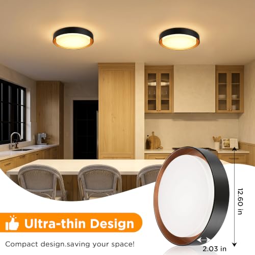 Matte Black 2-Pack Flush Mount LED Ceiling Lights - Dimmable 13in 3000K Daylight, Energy-Efficient Modern Lamp