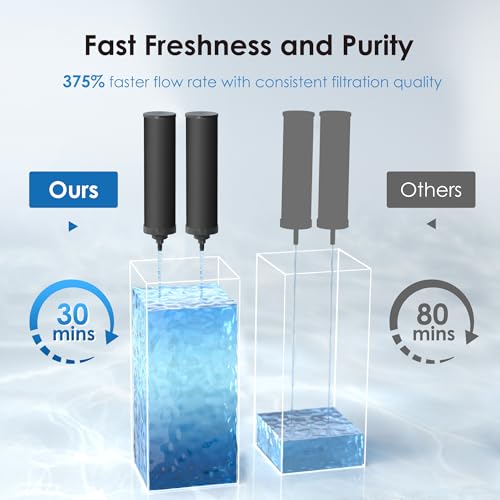Waterdrop Black Water Filter Replacement for Berkey BB9-2 - 2 Carbon Filters