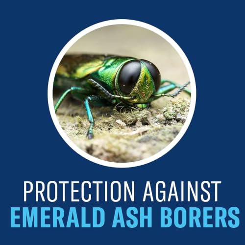 Tree & Shrub Protect and Feed Granules 10 lb - Insect Killer & Fertilizer