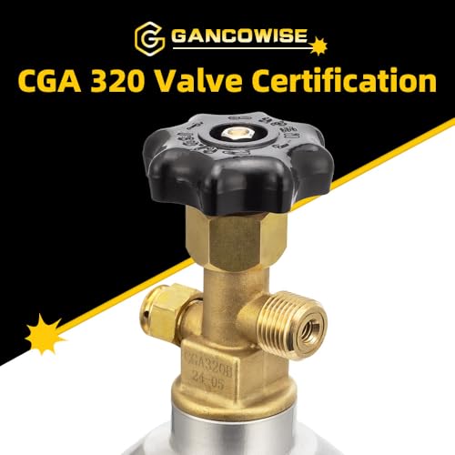 5lb Aluminum CO2 Tank with CGA-320 Valve DOT Approved for Beverage and Gas Use