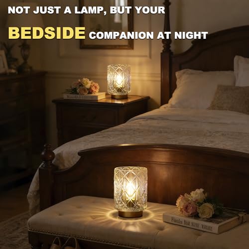 ULAROOM 2 Pack Cordless Battery Operated Table Lamps with Timer, Warm White Glass Shade for Bedroom & Decor (Grid-Clear)