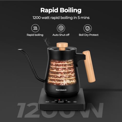 Gooseneck Electric Kettle with Precise Temperature Control 0.9L 1200W