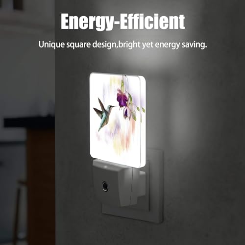 Groovy Hummingbird Flowers Dusk to Dawn Night Light, Auto Sensor Lamp Home Indoor Stairway Kitchen Corridor, Night Lights Plug into Wall Decor, Boys Girls Women Men Room Gifts