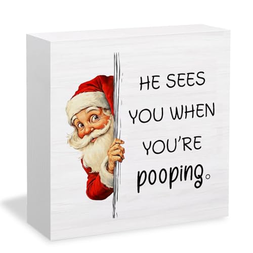HYKDFMNCJ 028 Funny Christmas Santa Bathroom Box Sign 5x5 in – Desk Decor