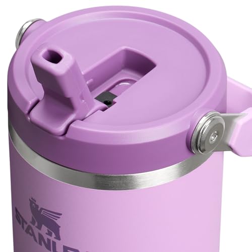 STANLEY IceFlow 2.0 30 oz Lilac Flip Straw Tumbler with Leakproof Lid
