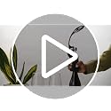 Rabbit Black Vertical Lever Corkscrew Wine Opener with Foil Cutter, 7.7x8.8 in