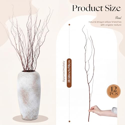 Natural Dried Willow Branches - 12 Pcs, 38 Inches for Rustic Decor, Floral Arrangements & Weddings - Variation: Natural / 38 Inches