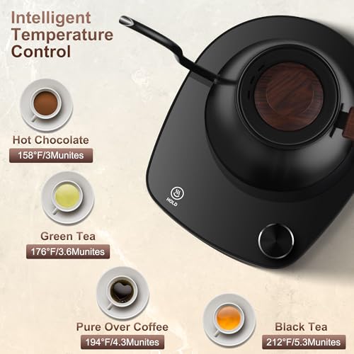 YDDZZM Black Gooseneck Electric Kettle with Temperature Control 0.9L 1000W