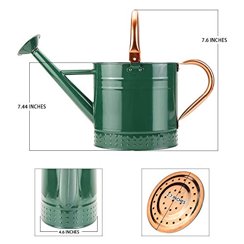 Green 1 Gallon Metal Watering Can with Removable Spout - Galvanized Steel Garden Hand Tool