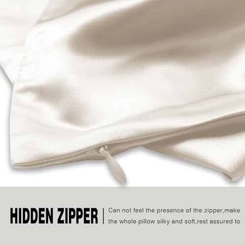 Mulberry Silk Pillow Cases 2 Pack - Standard Size 20x26 Beige - Soft & Cool Sleep Pillowcases