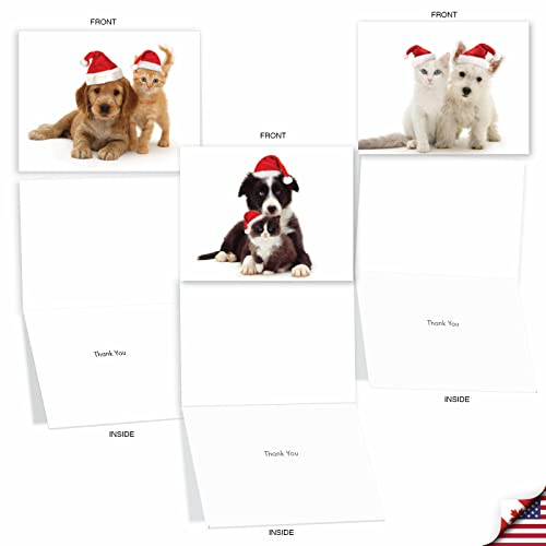 Best Card Co 20 Christmas Thank You Mini Bulk Notecards
