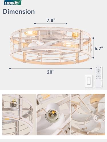 LEDIARY 20" White Gold Caged Low Profile Ceiling Fan with Light and