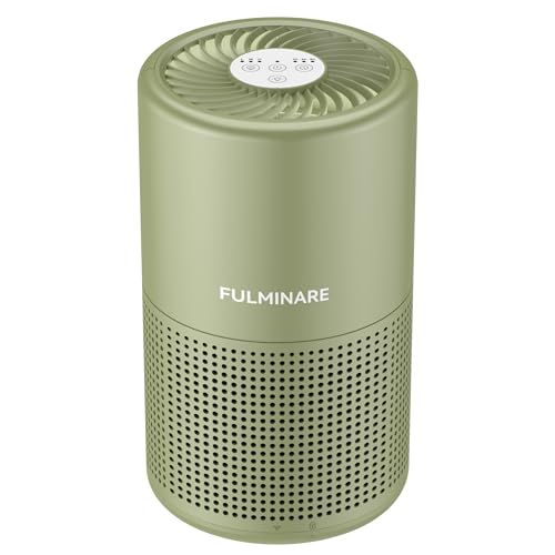 FULMINARE Sage Green HEPA Air Purifier for Bedroom & Home, 1 Pack