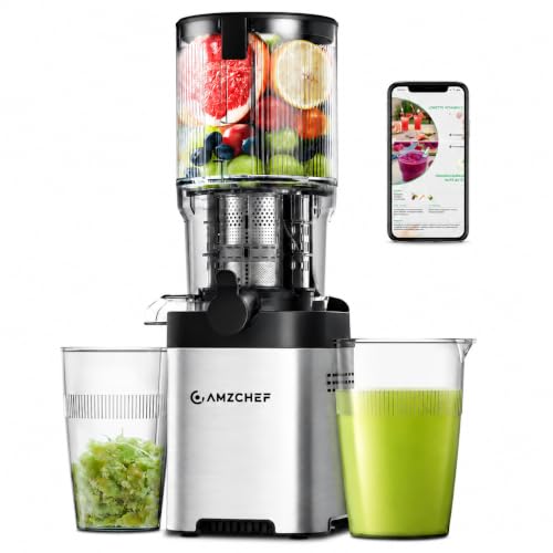 Cold Press Juicer with 5.4-Inch Wide Chute - Silver, Self-Feeding Slow Juicer