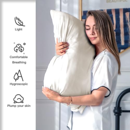 Mulberry Silk Pillow Cases 2 Pack - Standard Size 20x26 Beige - Soft & Cool Sleep Pillowcases