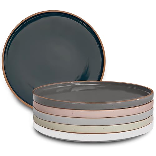 MORA Assorted Neutrals Ceramic Dinner Plates Set of 6 - 10.5 Inch, Microwave & Dishwasher Safe