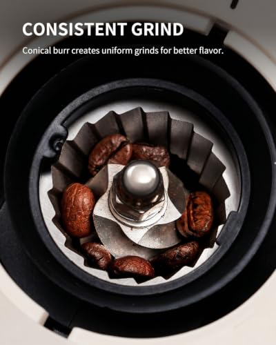 KIDISLE Conical Burr Coffee Grinder 2.0 Beige - Adjustable 35 Settings for Home Use