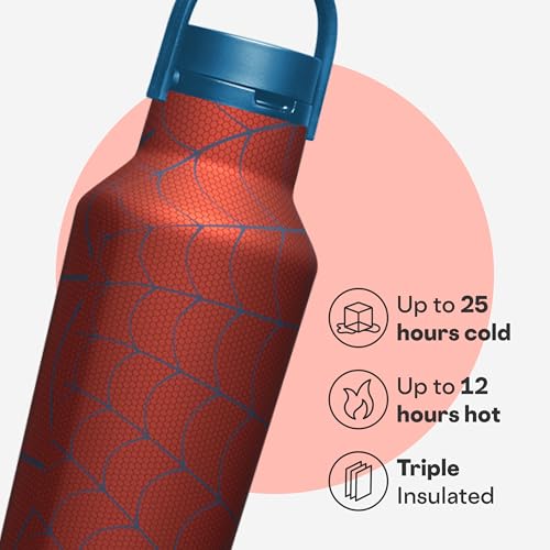Spider-Man Water Bottle 20 oz with Spill-Free Cap - Hydration