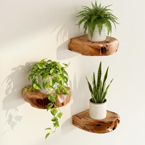 WELLAND Cedar Wood Floating Plant Shelves, Set of 3