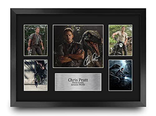 16x12in Chris Pratt Jurassic World Owen Grady Signed Photo – Framed 16" x 12" Movie Memorabilia