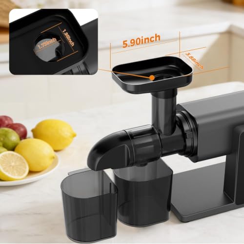 PSIIDAN Cold Press Juicer Machine with Smart Touch Screen - Leafy Greens & Vegetable Extractor, BPA-Free
