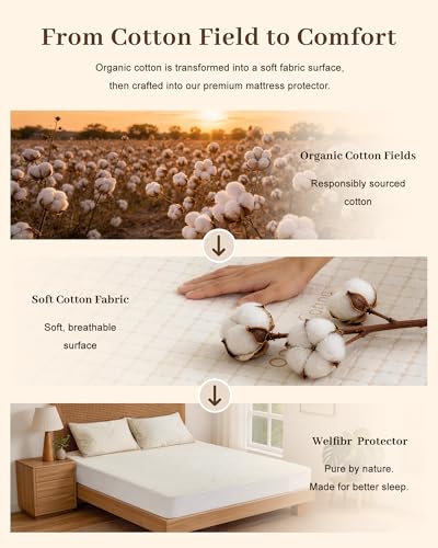 King Beige Waterproof Organic Cotton Mattress Protector - Soft & Breathable