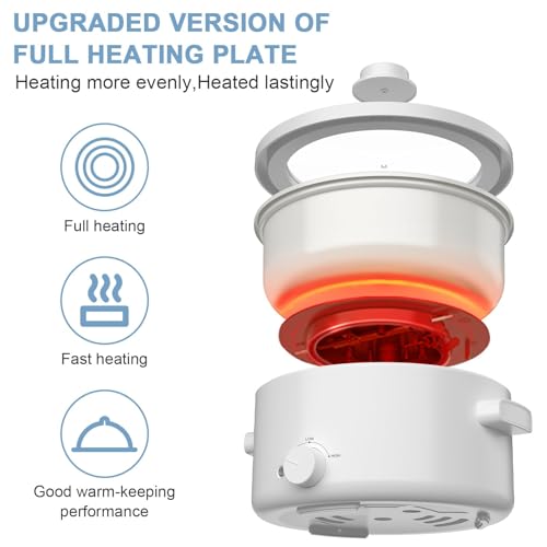 Electric Hot Pot, 2L Dual Power Multi-Functional Cooker
