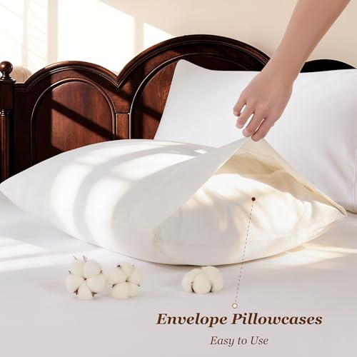 Egyptian Cotton Queen Bed Sheet Set - 1000 TC Deep Pocket 16" - White