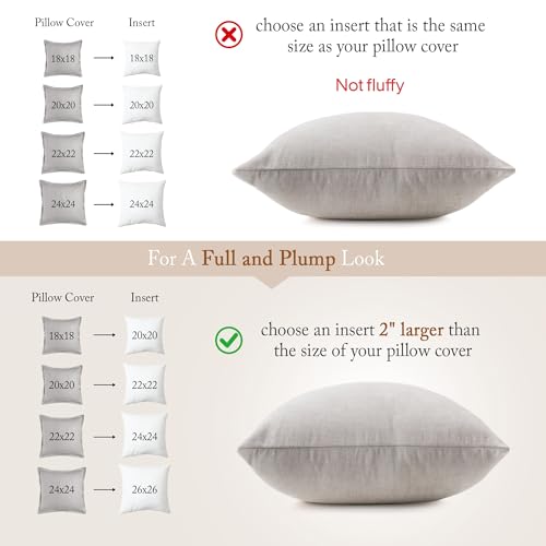 26x26 Inch Feather & Down Pillow Inserts - Pack of 2 White Luxury Support