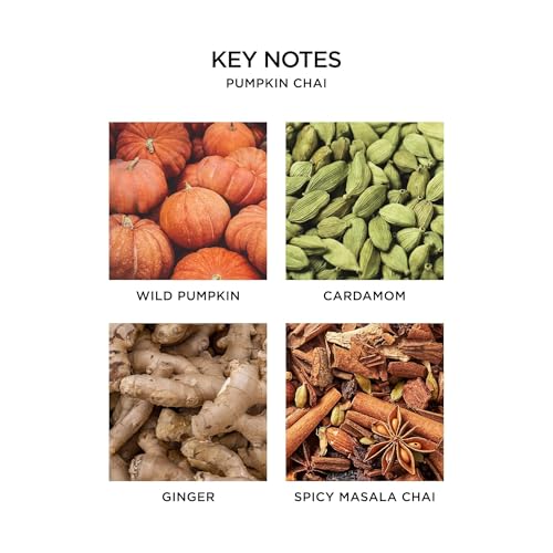 Nest New York Pumpkin Chai Smart Home Fragrance Refill - 0.33 fl oz, Pura & Pura 4 Compatible