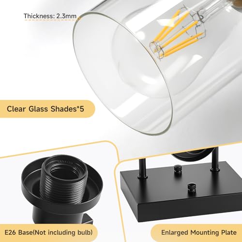 5-Light Black Bathroom Vanity Light, Modern Lighting Fixture for