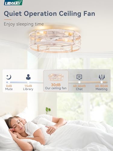 LEDIARY 20" White Gold Caged Low Profile Ceiling Fan with Light and