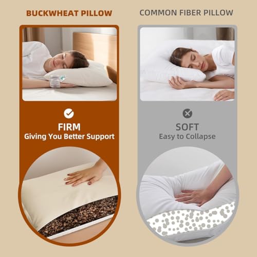 Organic Buckwheat Pillow 16x22 Off White with Organic Cotton Pillowcase