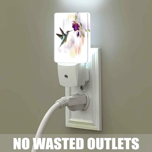 Groovy Hummingbird Flowers Dusk to Dawn Night Light, Auto Sensor Lamp Home Indoor Stairway Kitchen Corridor, Night Lights Plug into Wall Decor, Boys Girls Women Men Room Gifts