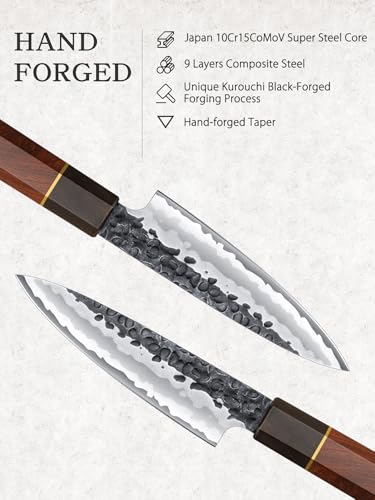 HOSHANHO 3-Piece Chef & Santoku Knife Set - High Carbon Steel Kitchen Knives