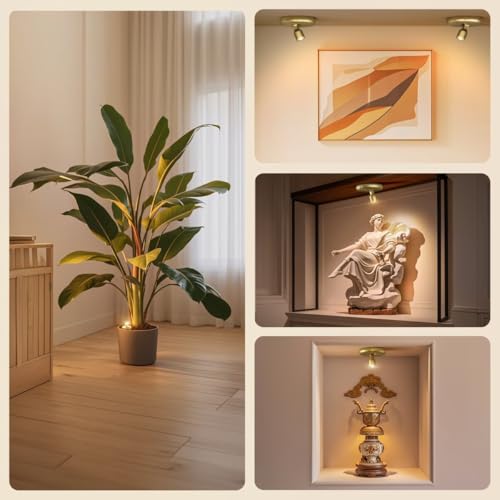 Rechargeable LED Spotlight Indoor 2-Pack - Gold Dimmable Accent Lights with Remote