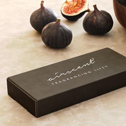 AirScent Hotel Diffuser Oil Gift Set – 5-Star Hotel Scents, 5-Pack