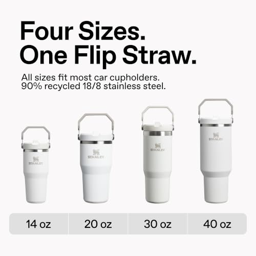 STANLEY IceFlow 2.0 30 oz Lilac Flip Straw Tumbler with Leakproof Lid