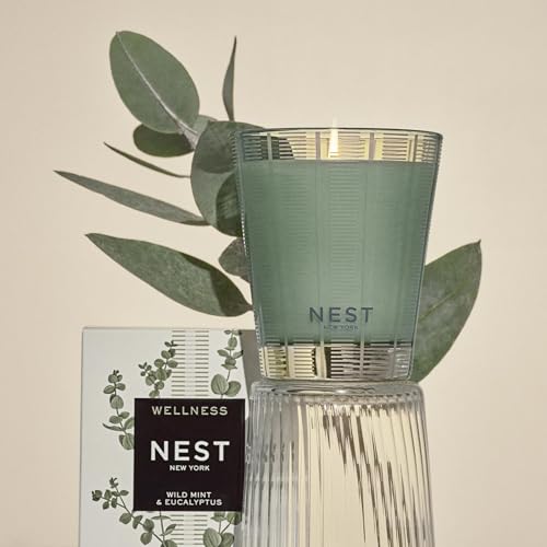 Scented Candle - Wild Mint & Eucalyptus - 8.1 oz, Up to 60-Hour Burn - Reusable Glass Vessel